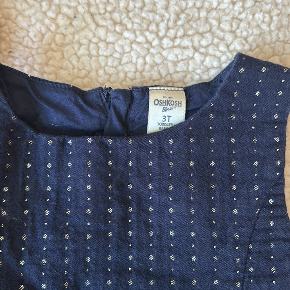 Oshkosh Dresses - Picture 2 of 3